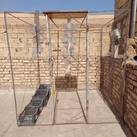 قفس کبوتر
