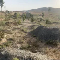 درخت بیدقطعه ۱۰۰۰متری دورفنس بادرخت|فروش خانه و ویلا|طرقبه, |دیوار