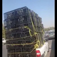 حمل بار با پراید وانت|خدمات حمل و نقل|شیراز, اصلاح‌نژاد|دیوار