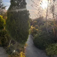 (تک ستاره زعفرانیه نادی) ۲۱۰مترویوابدی دره سلامت|فروش آپارتمان|تهران, زعفرانیه|دیوار