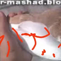 ماده‌چپ‌زرد