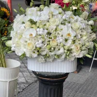 باکس گل ارسال از بازار گل امام رضا|گل و گیاه طبیعی|تهران, بازار گل خاوران|دیوار