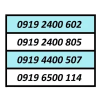 0919.2100.907