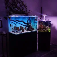 آکواریوم آوا چابهار و کنارک