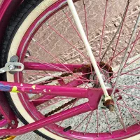 دوچرخه دخترونه 20|دوچرخه، اسکیت، اسکوتر|چالوس, |دیوار