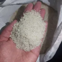برنج طارم گرگان