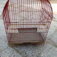 قفس پرنده
