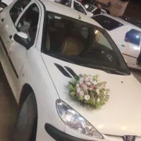 ۲۰۶ تیپ ۳ مدل۸۹