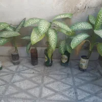 گل دیفن