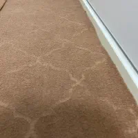 موکت
