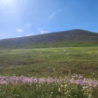 مسکونی-تجاری-بی-بی-شیروان