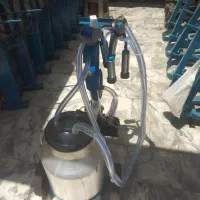 شیردوش گاودوش