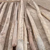 تیره فروشی دونه ای800