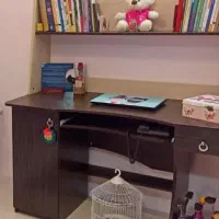 میز تحریر کتابخانه دار