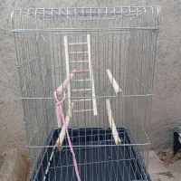 قفس بزرگ نو