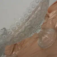ظروف آجیل خوری