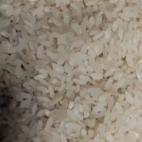 برنج کامفیروز.بیمور..ب شرط عطر طعم پخت