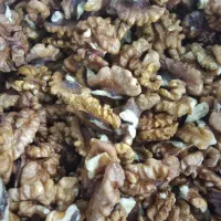 مغز گردو درجه 2|خوردنی و آشامیدنی|شیراز, محراب|دیوار