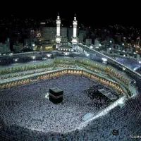 فیش عمره مفرده یک عدد