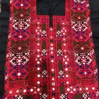 زی استین قرمز اینه ای