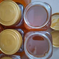 عسل طبیعی از تولید به مصرف بدون واسطه|خوردنی و آشامیدنی|رشتخوار, |دیوار