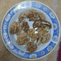 گردوکلات