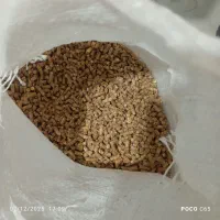 فروش انواع دان