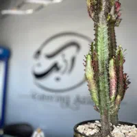 دعوت به همکاری در رستوران توحید شهر