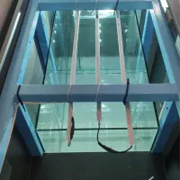 آکواریوم حرفه ای آب شور و شیرین|ماهی|بابلسر, |دیوار