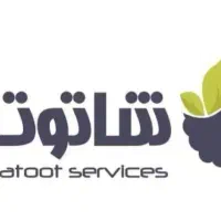 همکاری با حسابداران و مدیران مالی مشغول به کار