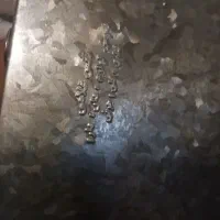قفس سهره وسهره قناری