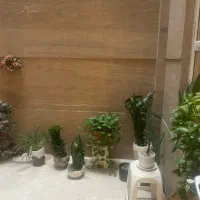 اجاره آپارتمان ۸۰ متری ۲ خوابه در شمس‌آباد|اجارهٔ آپارتمان|تهران, شمس‌آباد|دیوار