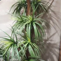 گل مصنوعی واسه دکور خانه، اتاق