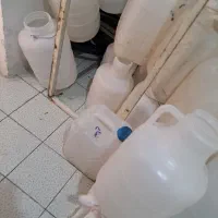 دبه ترشی وخیارشور