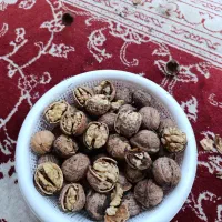 گردو پوست کاغذی