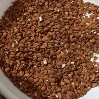 مغز بادام شیرین