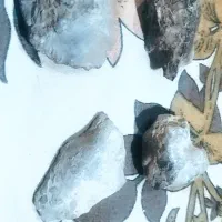 شهاب سنگ قمری و کمیاب٪