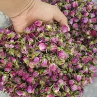 فروش گل محمدی با کیفت بسیار بالا