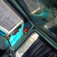مینی‌بوس بنز|خودرو سنگین|شاهین‌شهر, گزبرخوار|دیوار