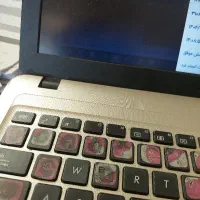 خانم کار اینترنتی هست