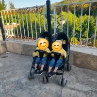 (کالسکه دوقلو)بانوج کریر روروئک