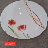 ارکوپال دسینی|ظروف سرو و پذیرایی|محمدیه-قزوین, |دیوار