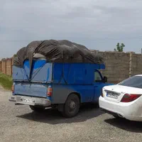 کود دهی ریتق کبوتر شیروانی و سوله|خدمات باغبانی و درختکاری|ازنا, |دیوار