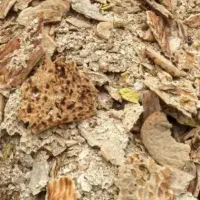 نان خشک تمیز به دوماه