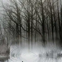 حمل بار با نیسان به تمام نقاط کشور