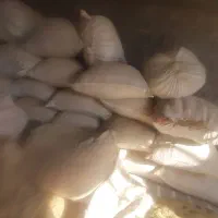 یونجه کاه عدس  جاشیر کاه شمبلیه