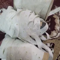 دکمه ریلی)نر وماده . مناسب مانتو