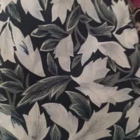 چادر رنگی و نماز|لباس|بیرجند, |دیوار
