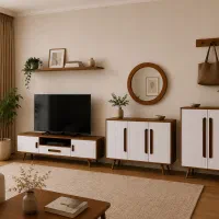 ست میز تلوزیون و کنسول، جاکفشی