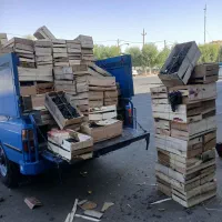 انگور دیم سردشت|عمده‌فروشی|قم, خداکرم|دیوار